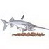 Paddlefish