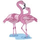 Flamingo Pair