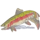 Cutthroat Trout