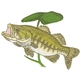 Largemouth Bass