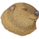 Beaver Head