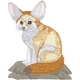 Fennec Fox