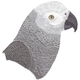 African Grey