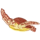Sea Turtle