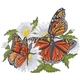 Monarch Butterflies