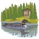 Loon Scene