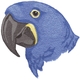 Hyacinth Macaw