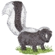 Skunk