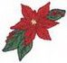 Poinsettia