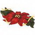 Poinsettia