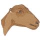 Lamancha Goat