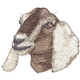 Sm. Nubian Goat