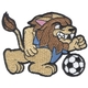 Lion Soccer