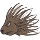 Porcupine