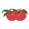 TOMATOES