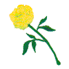 YELLOW ROSE