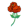 ROSE #365