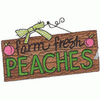 FARM FRESH PEACHES