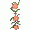 PEACHES ON A STEM