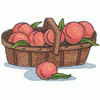 PEACHES IN A BASKET