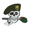 GREEN BERET WAR SKULL