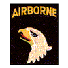 101ST AIRBORNE (SEWN ON BLACK)