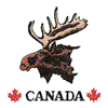 MOOSE CANADA