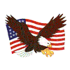 EAGLE AND AMERICAN FLAG