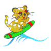 SURFING CAT