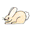 COTTON TAIL BUNNY