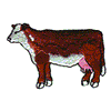 HERFORD HEIFER