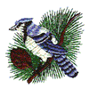 BLUE JAY