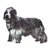 BEARDED COLLIE