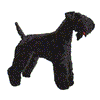 KERRY BLUE TERRIER