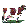 HOLSTEIN COW