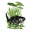 FISH IN SEAWEED