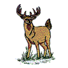 DEER FILE#18