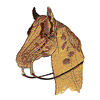 HORSE HEAD WITH BRIDLE