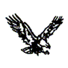 EAGLE OUTLINE SMALL