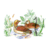 DUCKS IN A POND/2LG FOR HOME SEW