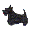 SCOTTISH TERRIER