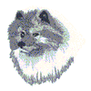 KEESHOND