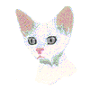 DEVON REX CAT HEAD