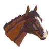 HORSE HEAD