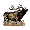 ELK