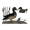 WOOD DUCKS