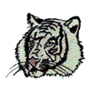 WHITE BENGAL TIGER HEAD