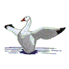 SNOW GOOSE