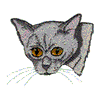 KORAT CAT HEAD