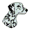 DALMATIAN HEAD